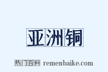 亚洲铜是什么意思的图片